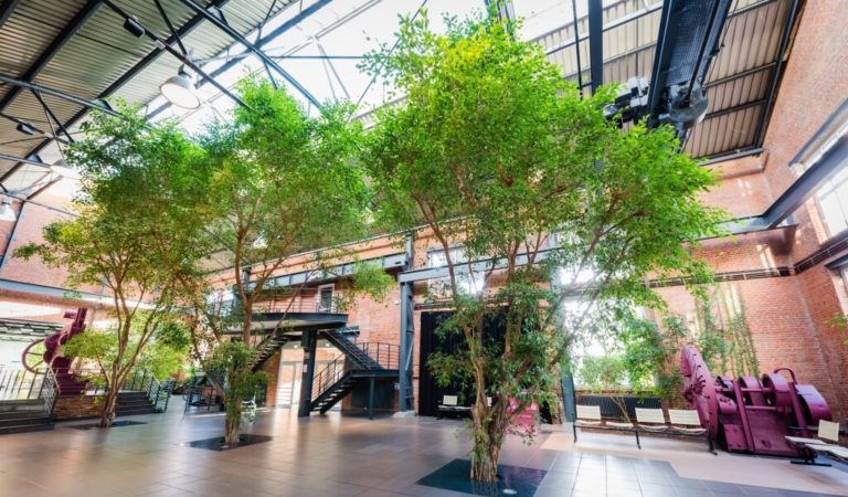 Foyer, Veranstaltungsraum - Hotel Alte Werft