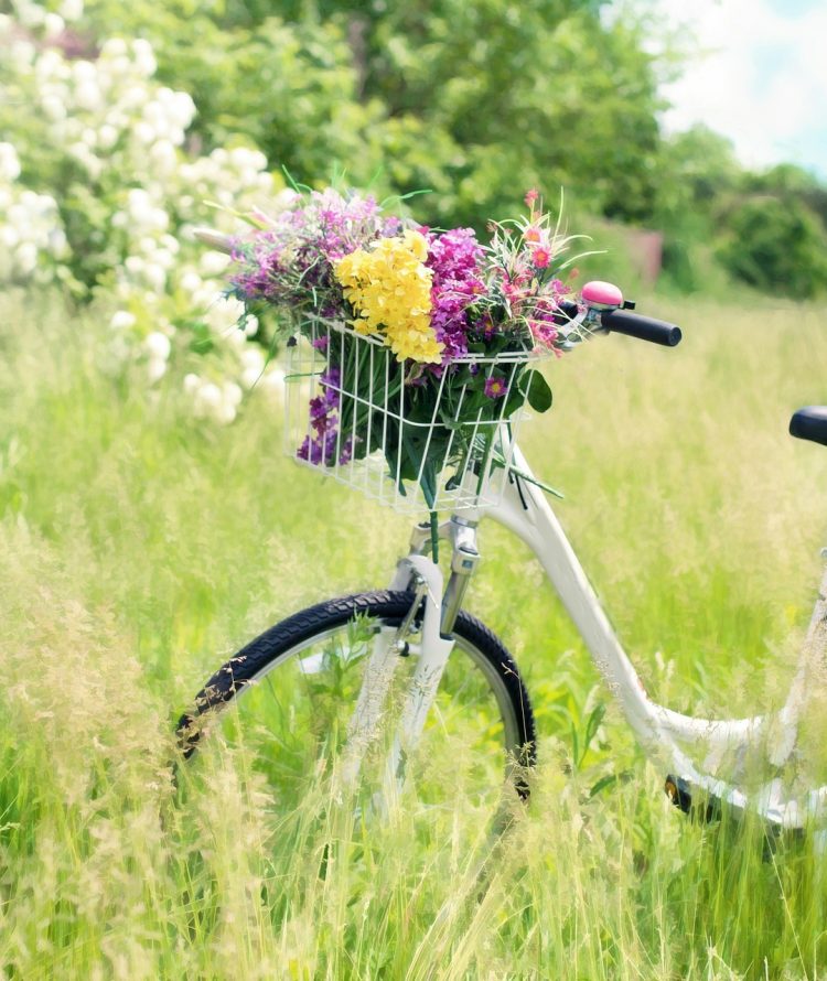 jillwellington-bicycle-788733_1920